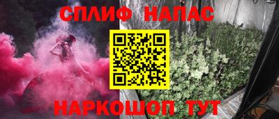 бошки Гагарин