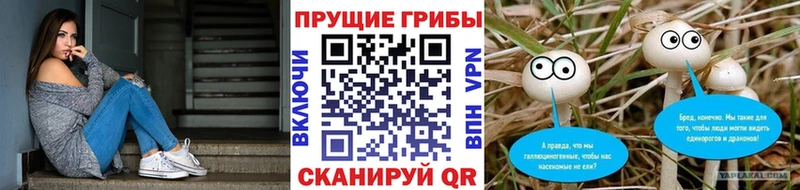 даркнет Telegram  Амурск  Псилоцибиновые грибы ЛСД 
